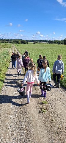 Praca na polu. Wykopki! — zdjęcie 2