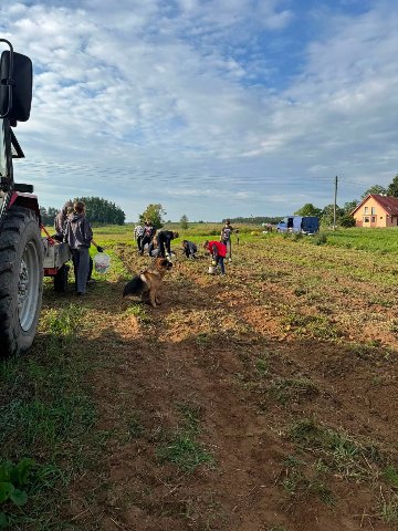 Wykopki pełne radości! — zdjęcie 3