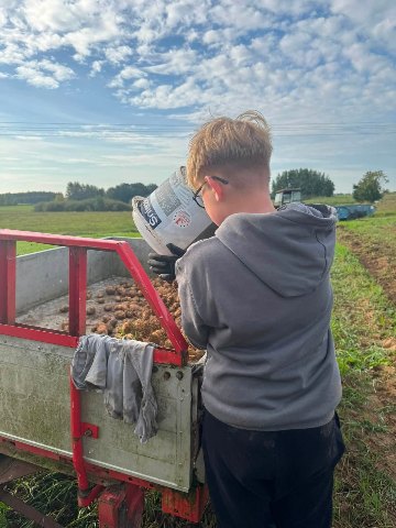 Wykopki pełne radości! — zdjęcie 8
