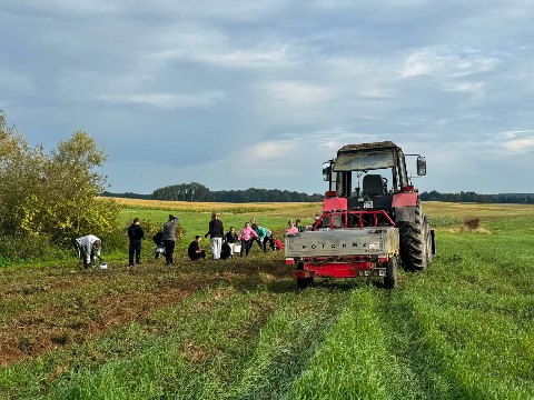 Wykopki pełne radości! — zdjęcie 9