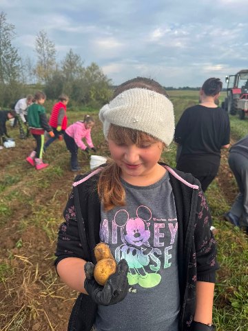 Wykopki pełne radości! — zdjęcie 14